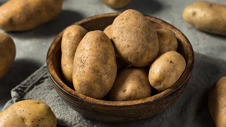 can you feed russet potato to your pets