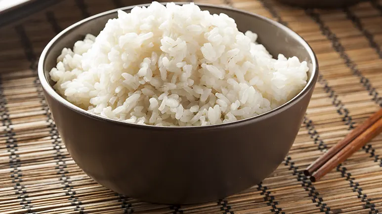 can you feed white rice to your pets
