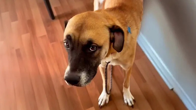 she shut down completely then one reunion changed everything