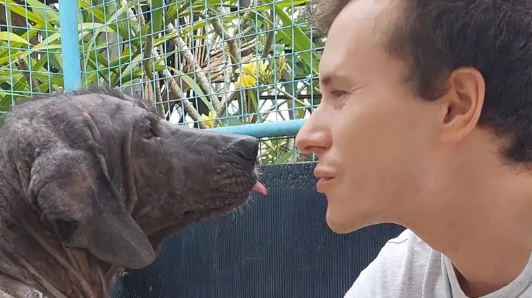 the day a frozen dog finally let someone in