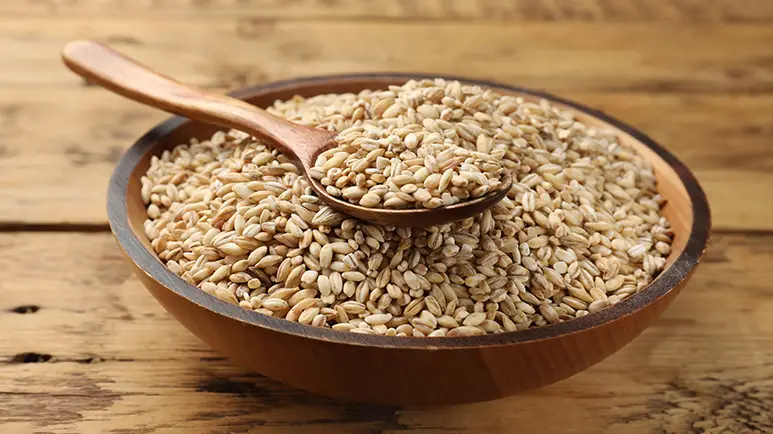 can you feed barley to your pets