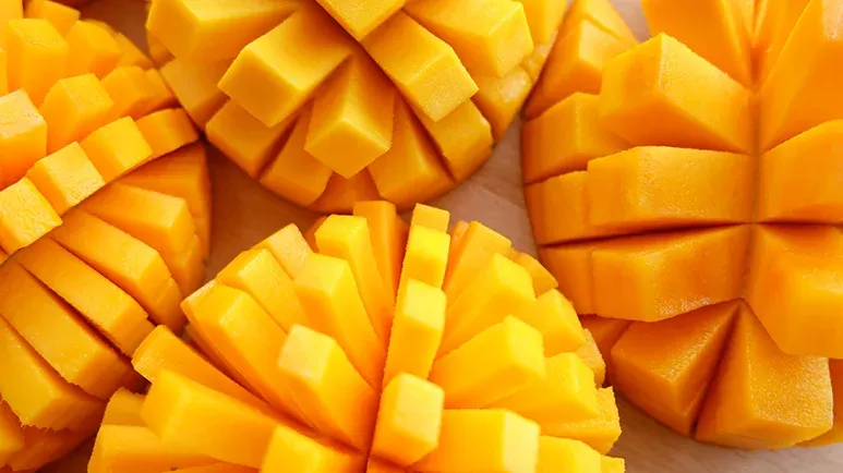 can you feed mango to your pet