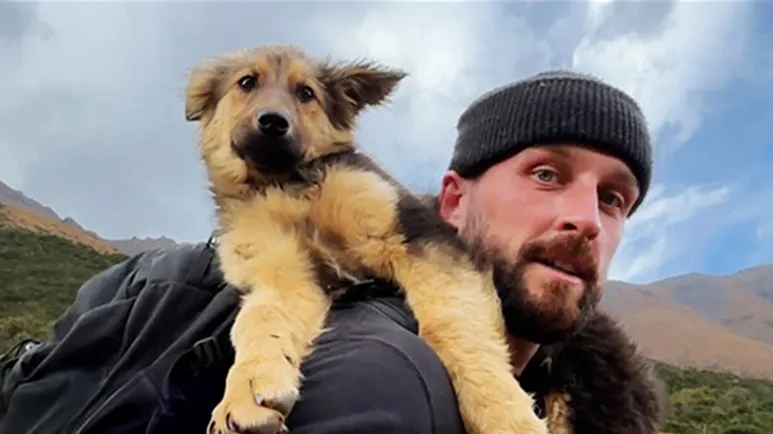 hiker reaches a peak and finds a puppy waiting