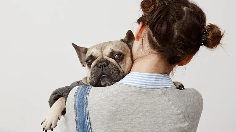 why dog may not like to cuddle