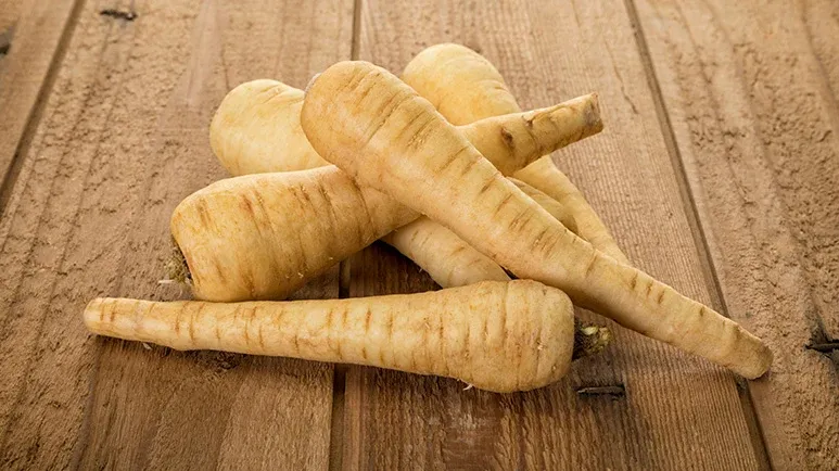 can you feed parsnips to your pets