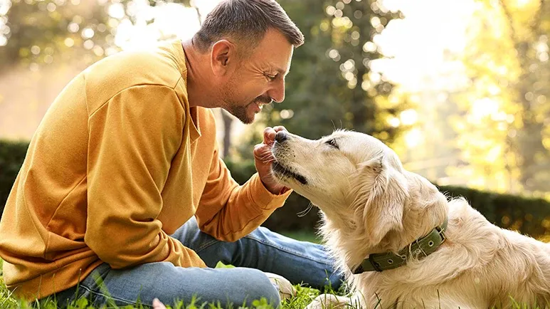 dog ownership health benefits