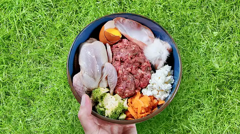 raw pet food salmonella