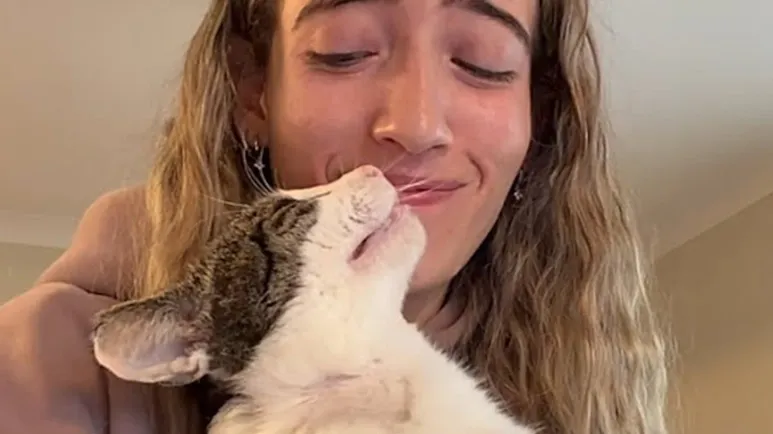 a rescue cat who learned to trust again