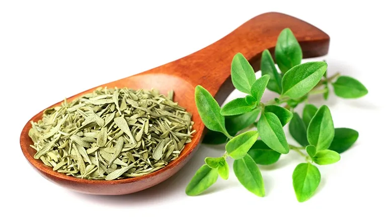 can you feed thyme to your pets