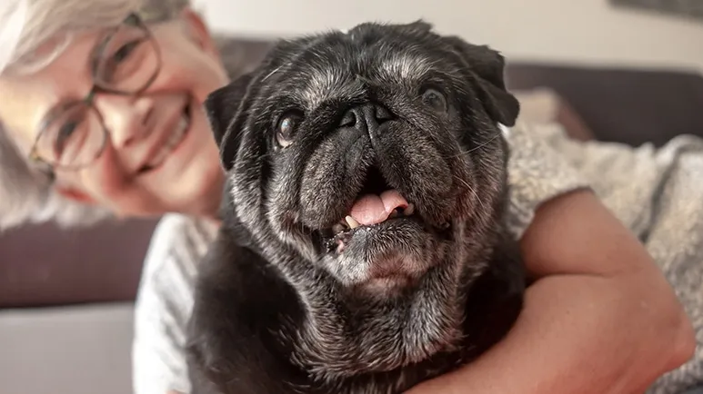 dog ownership benefits for seniors