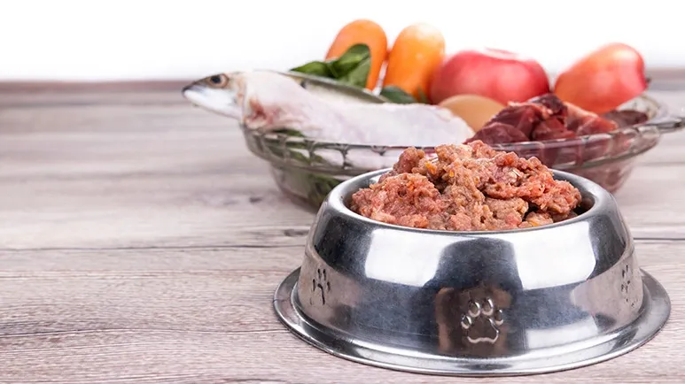 raw pet food market growth