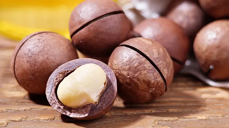 why you shouldnt feed macadamia nuts to your pets