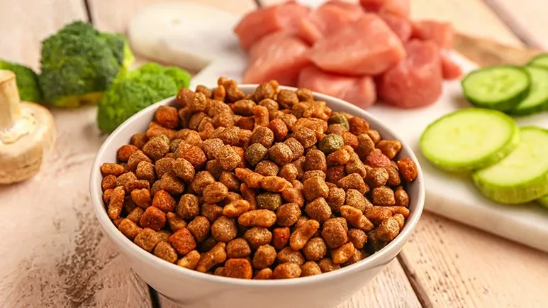 flawed study dogs are no longer carnivores