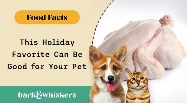 can your pets eat turkey?