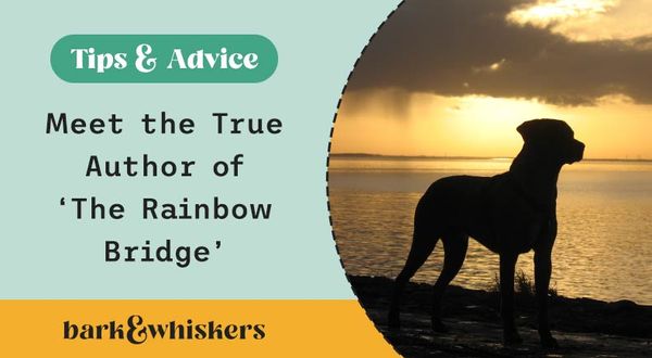 rainbow bridge
