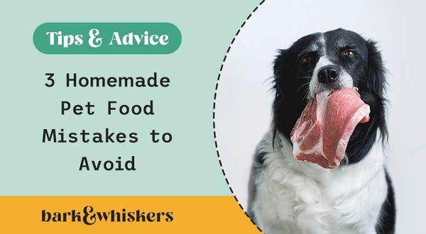 Homemade dog food deals for seizures