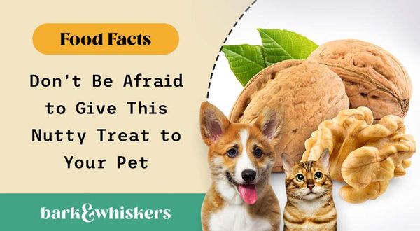 can you feed walnuts to your pets