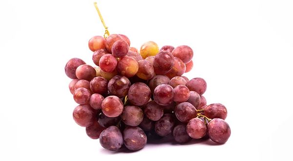 why shouldn't you feed grapes to your pets