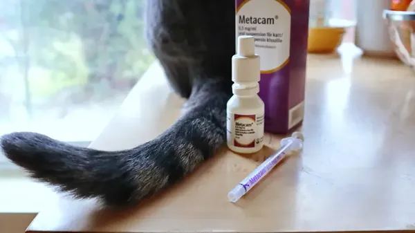 meloxicam