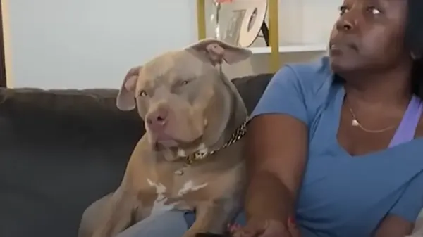 pittie plays her mom against her grandma