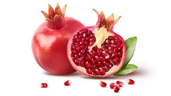 can you feed pomegranates to your pet