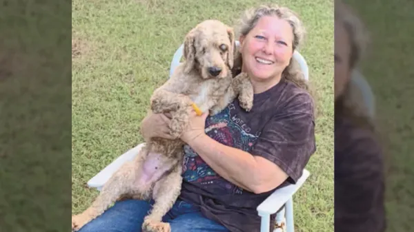 giving elderly dogs a new home with karen cole