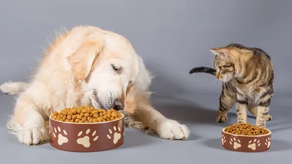 nutrigenomics pet food revolution