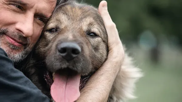 reasons to adopt a senior dog