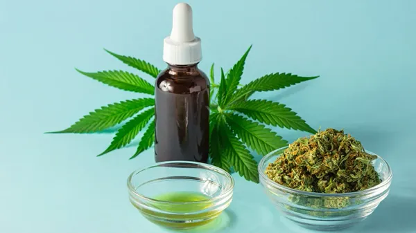 thc toxicosis in dogs