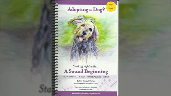 understanding rescue dogs
