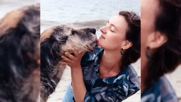 animal hospice care
