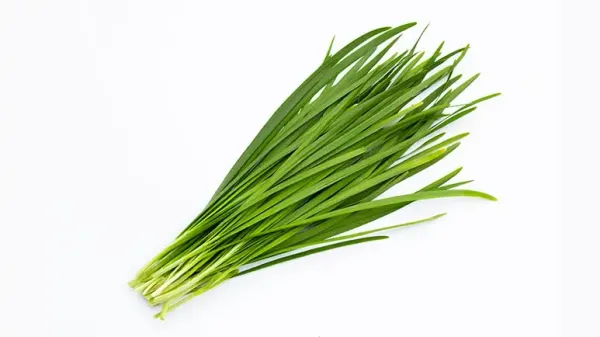 can you feed chives to your pet