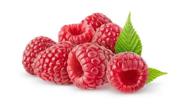 can you feed raspberries to your pets