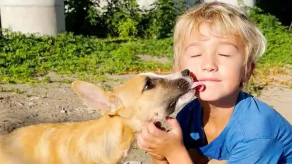 5 year old is determined to rescue two abandoned puppies