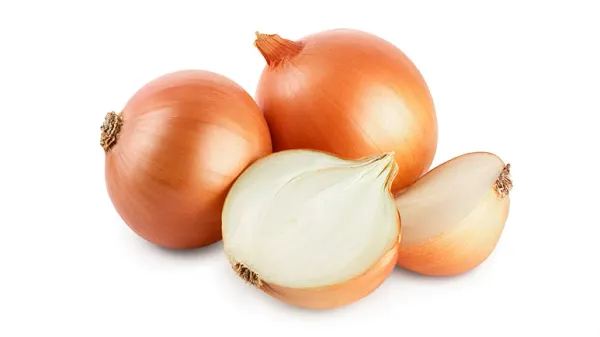 can your pet eat onions