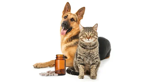 regulation pet dietary supplements