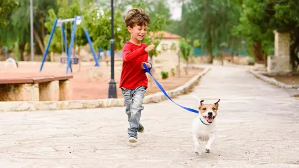 dogs increase physical activity