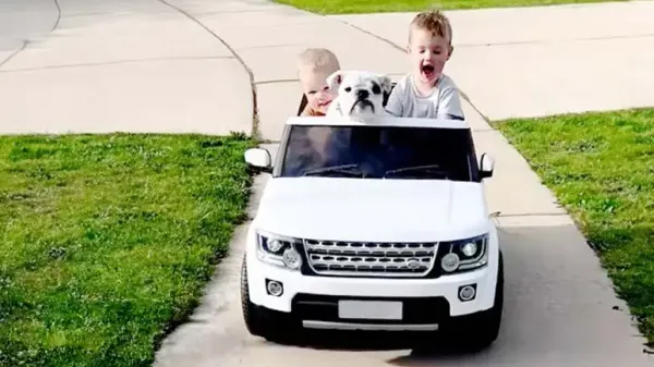 two boys and their dog hank true bffs