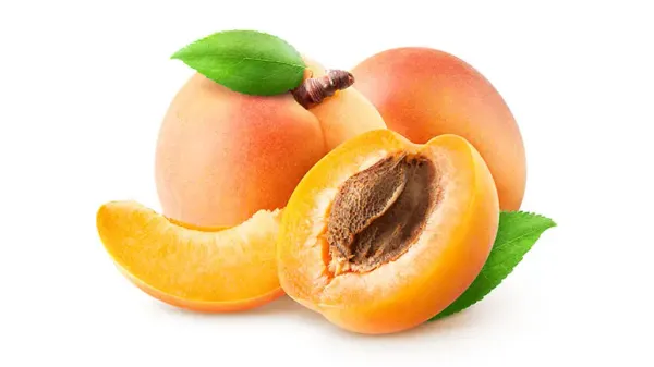 should you feed apricots to your pets