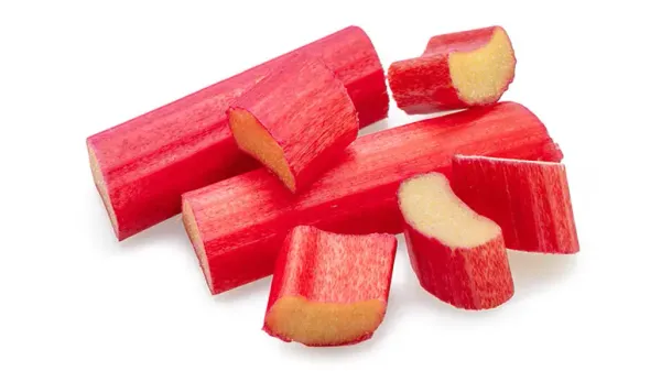 can you feed rhubarb to your pets