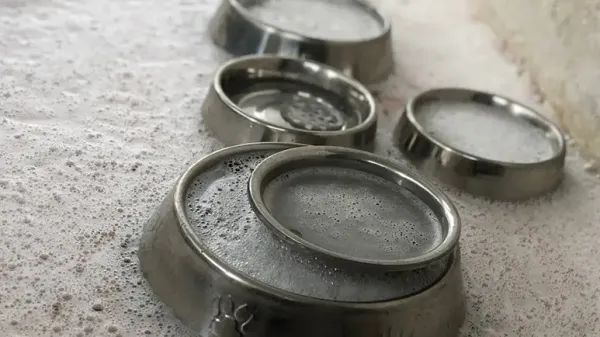 pet food bowls