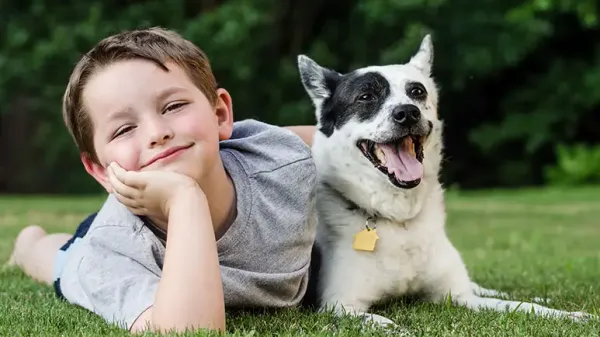 dog bite prevention