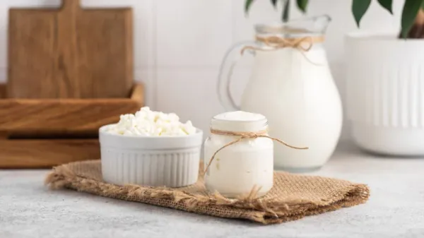 are yogurt and kefir good for pets