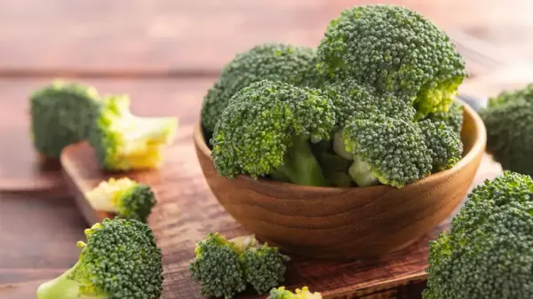 can you feed broccoli to your pets