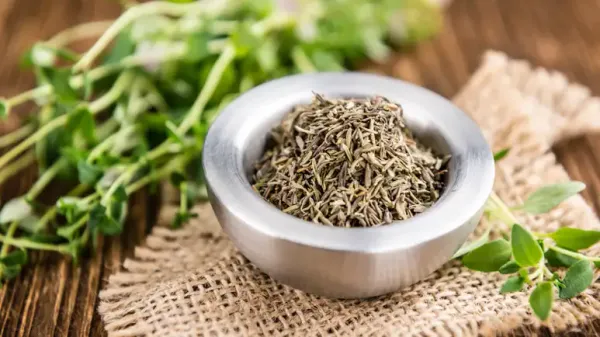 can you feed thyme to your pets
