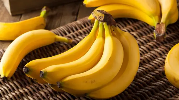 can pets eat bananas