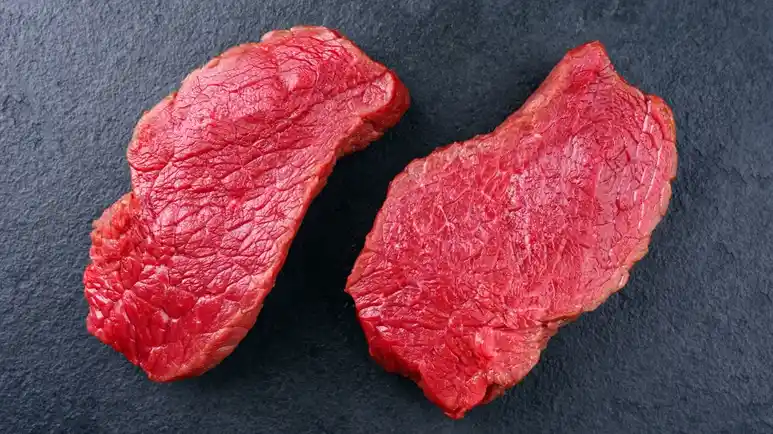 can you feed bison meat to your pets