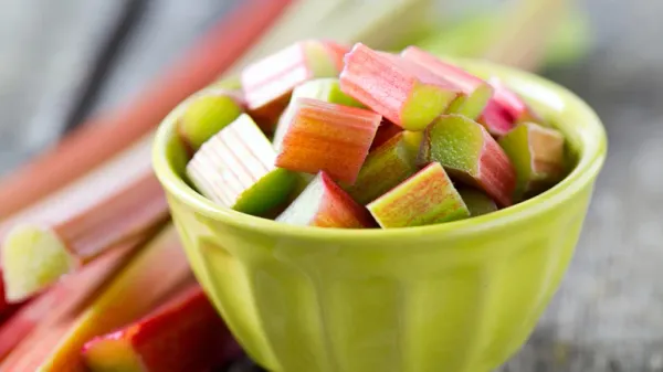 can you feed rhubarb to your pets