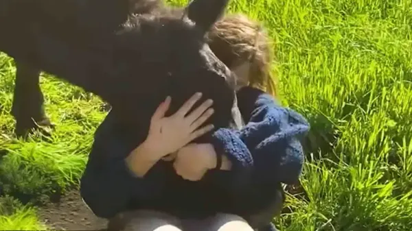 francisco the 1 ton cuddlebug