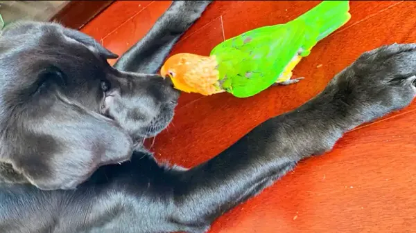 from frenemies to family